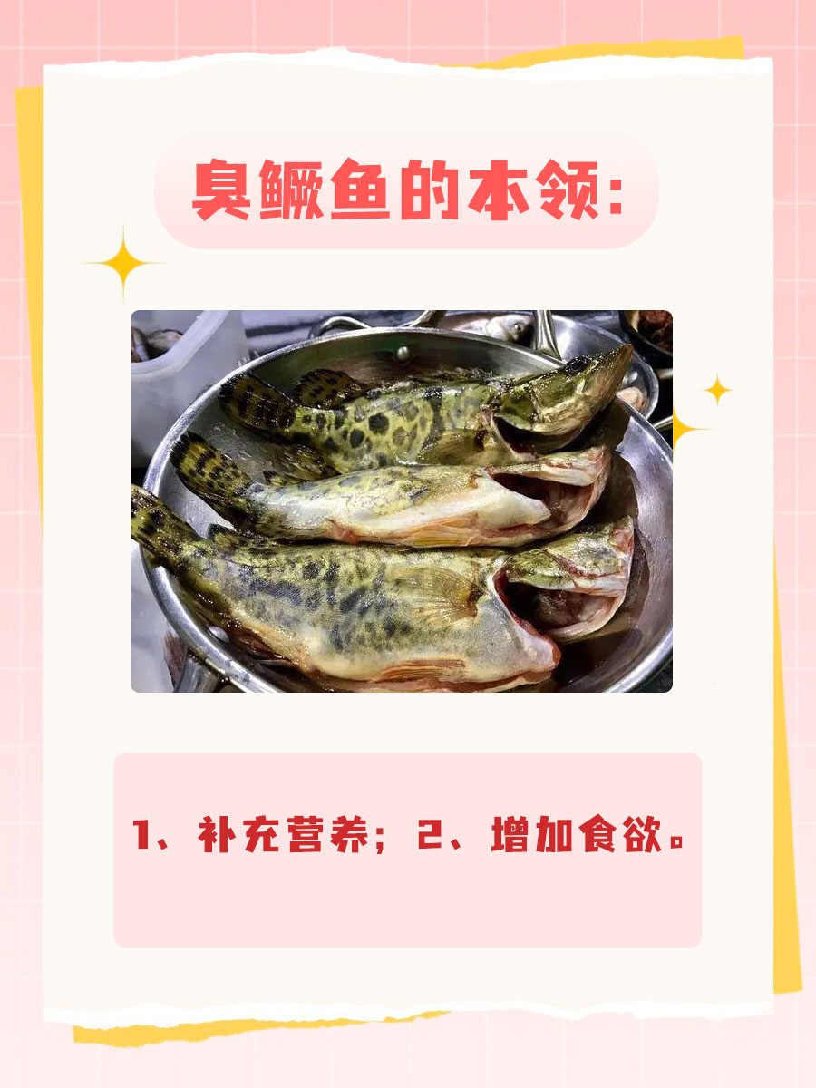 臭鳜鱼的营养价值、功效与作用，看看你知多少？
