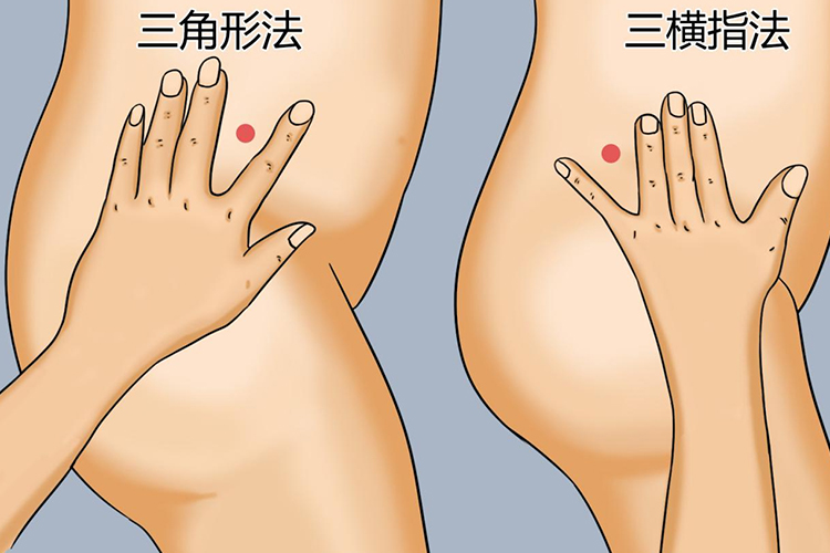 臀中肌、臀小肌注射定位图