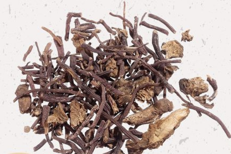 中药紫菀图