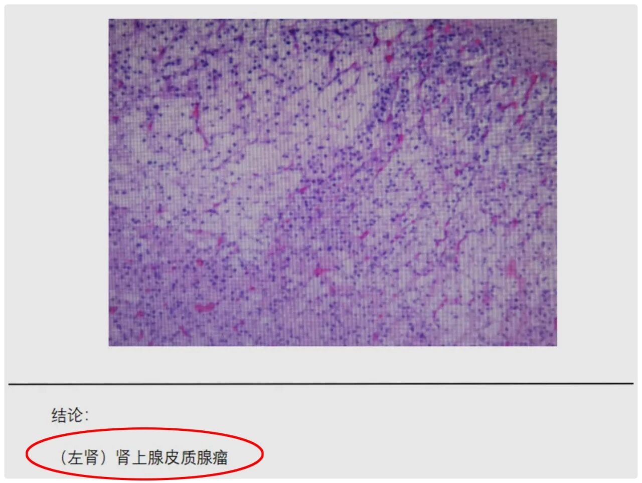 微信图片_2026-09-02_133441_637.jpg