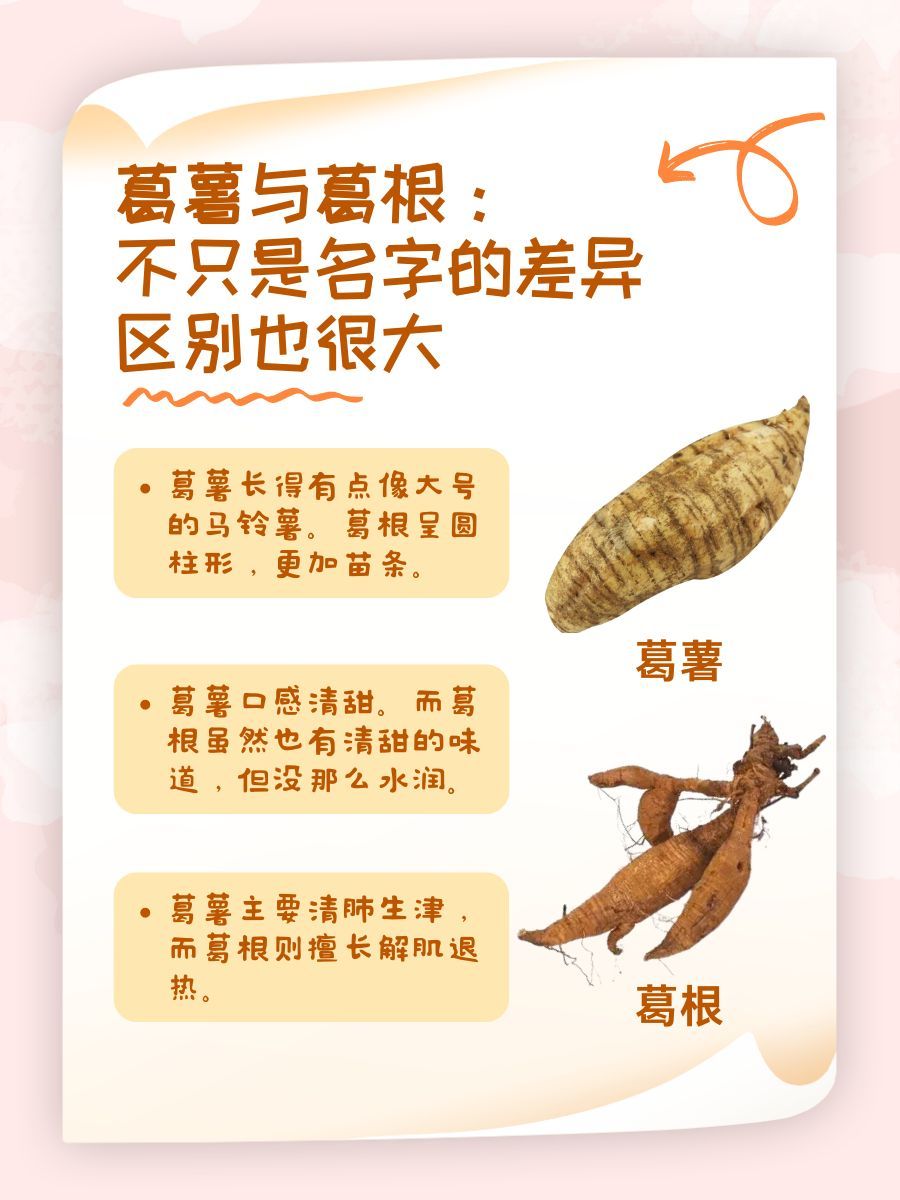 葛薯与葛根：不只是名字的差异，区别也很大