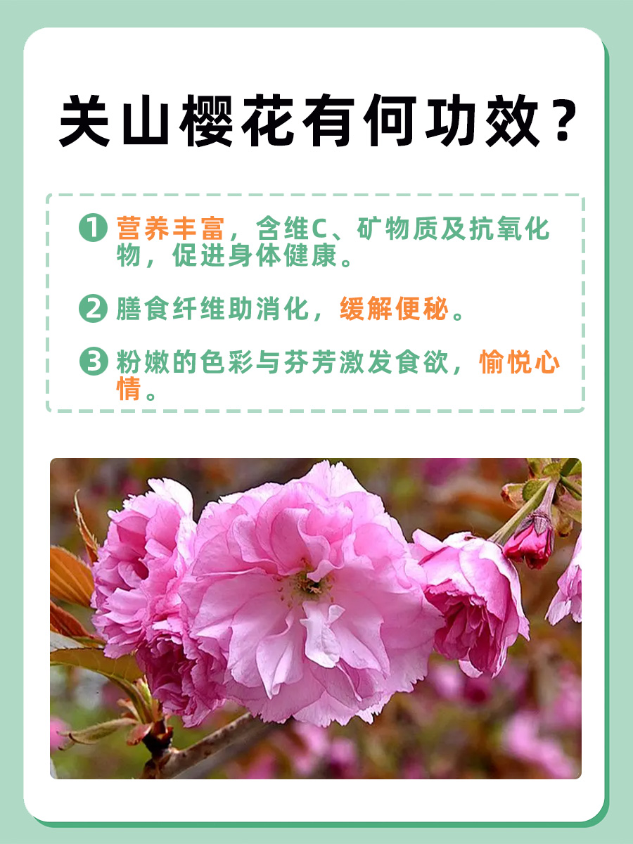 关山樱花，不只是好看，这些功效你了解吗？