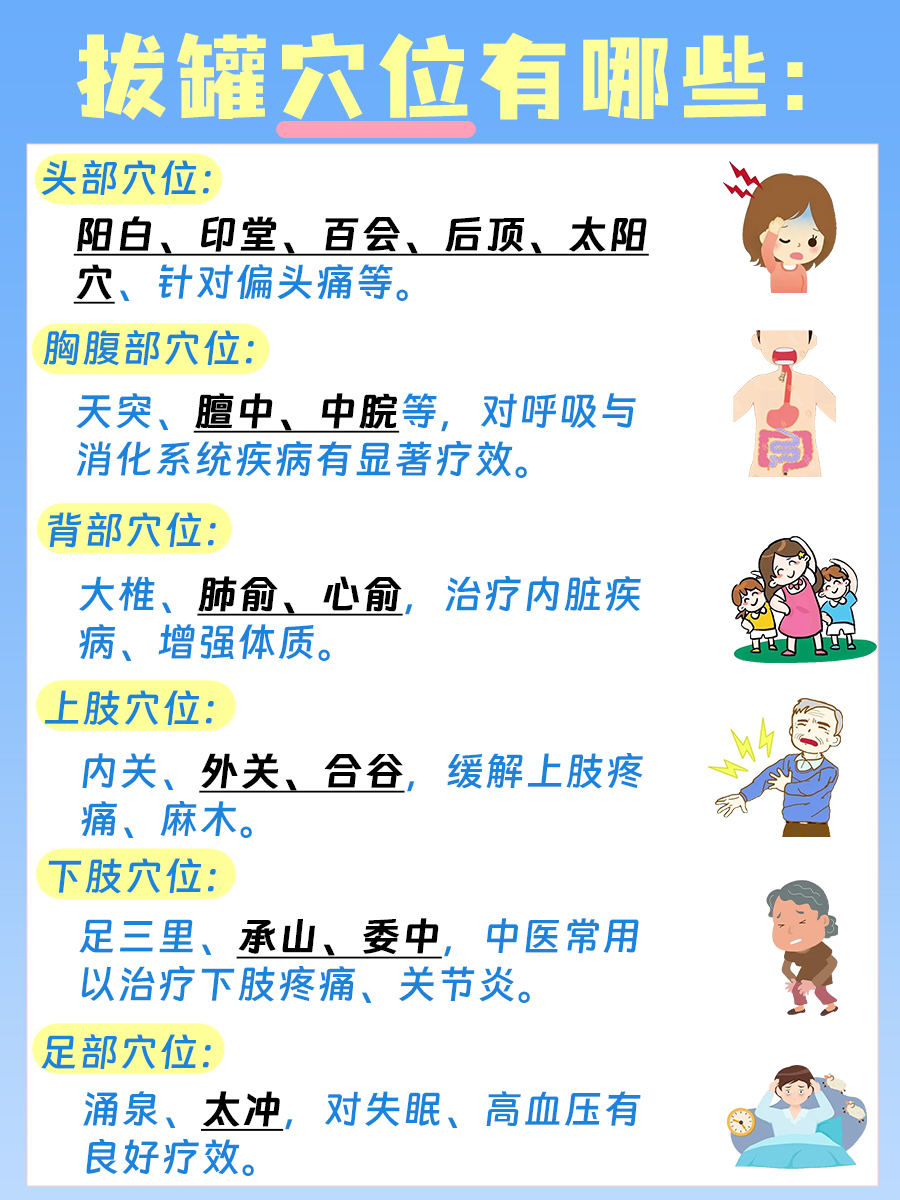 专业中医讲解：拔罐穴位图