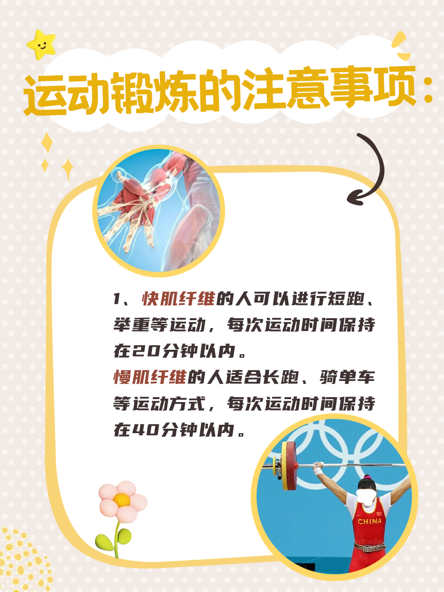 肌肉的快与慢：快肌纤维与慢肌纤维的对比