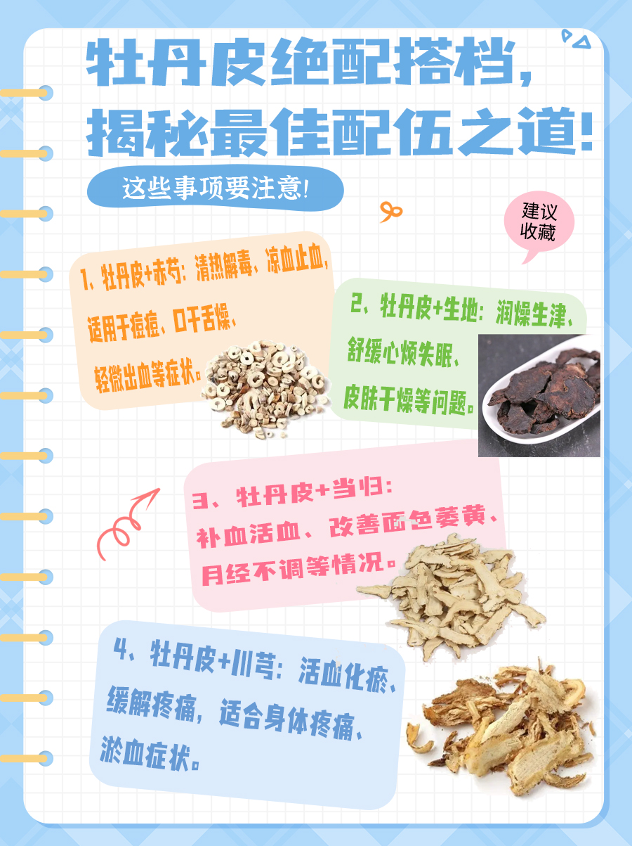 牡丹皮绝配搭档，揭秘最佳配伍之道！