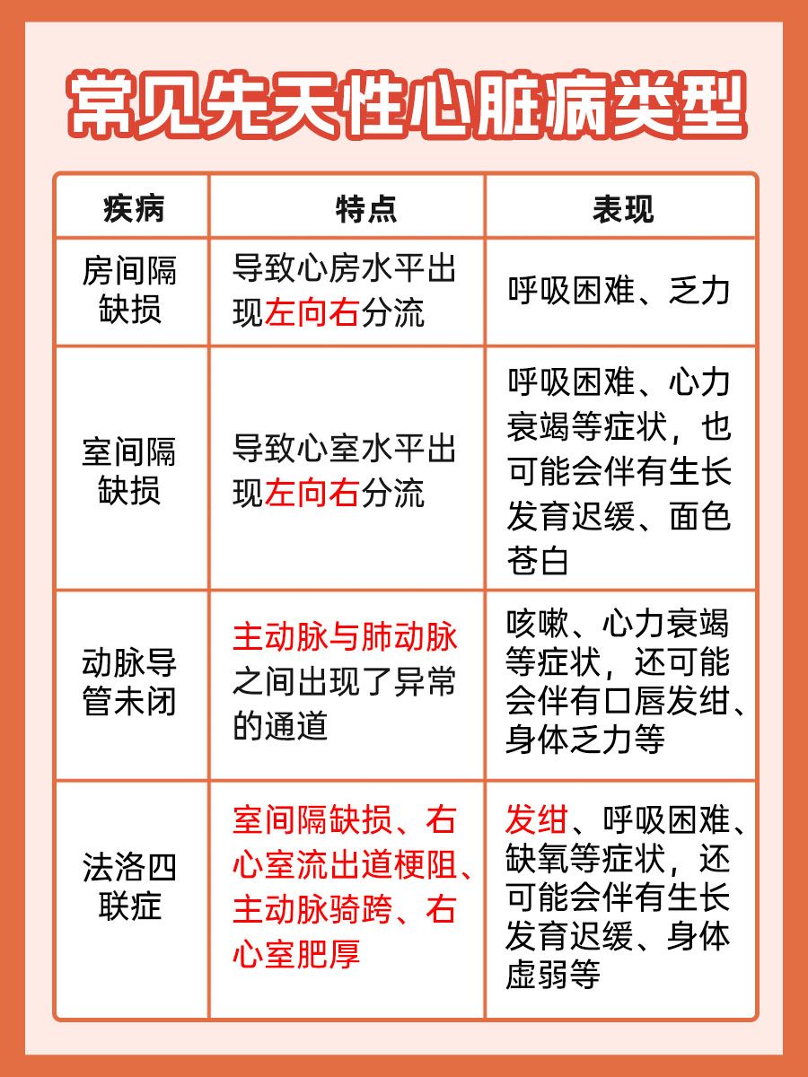 关于室间隔，一文带你了解