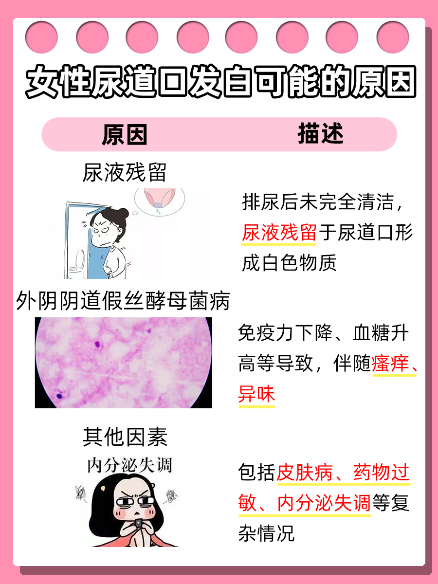 女性尿道口发白,到底是怎么回事?