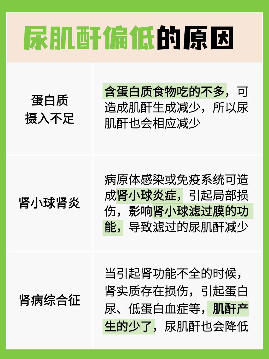 医生分析：尿肌酐偏低的原因有哪些？