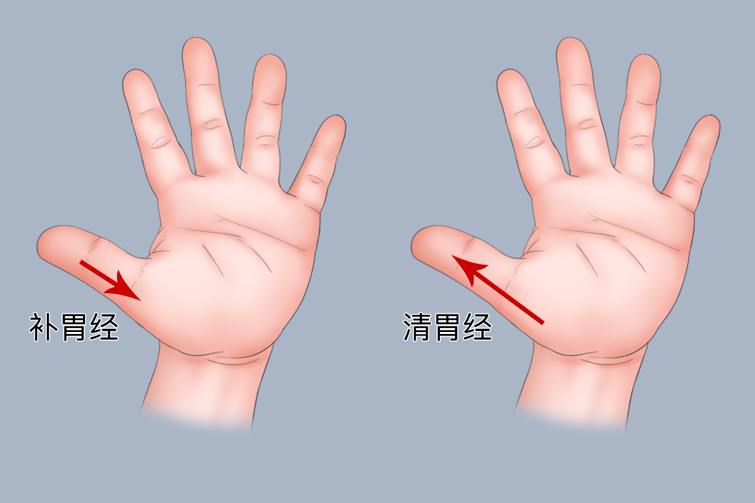 小儿清补胃经图
