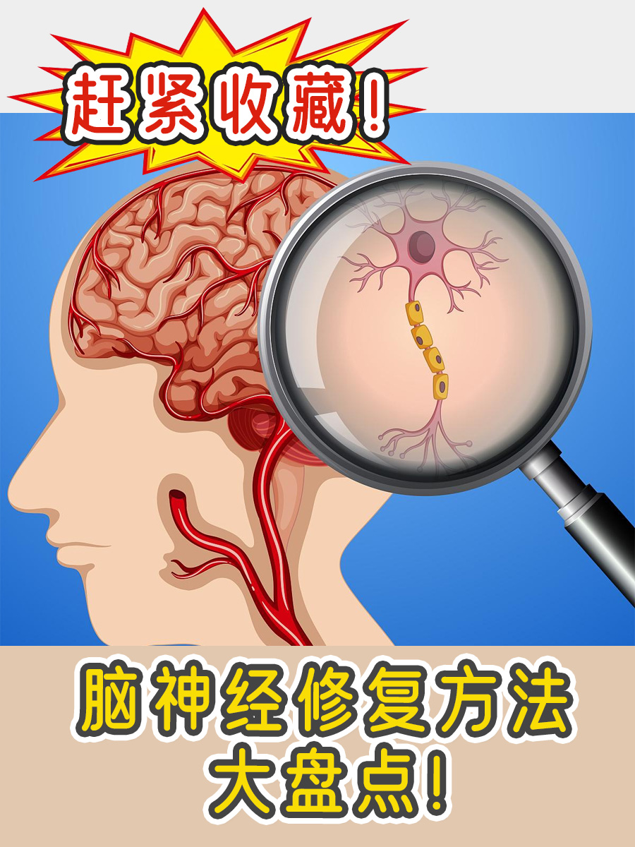 赶紧收藏!脑神经修复方法大盘点!