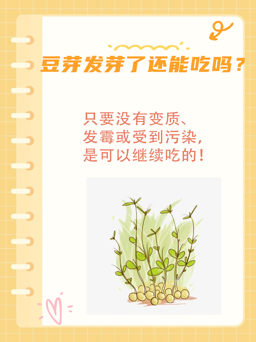 豆芽发芽，是扔掉还是吃掉？看完这篇就懂了！