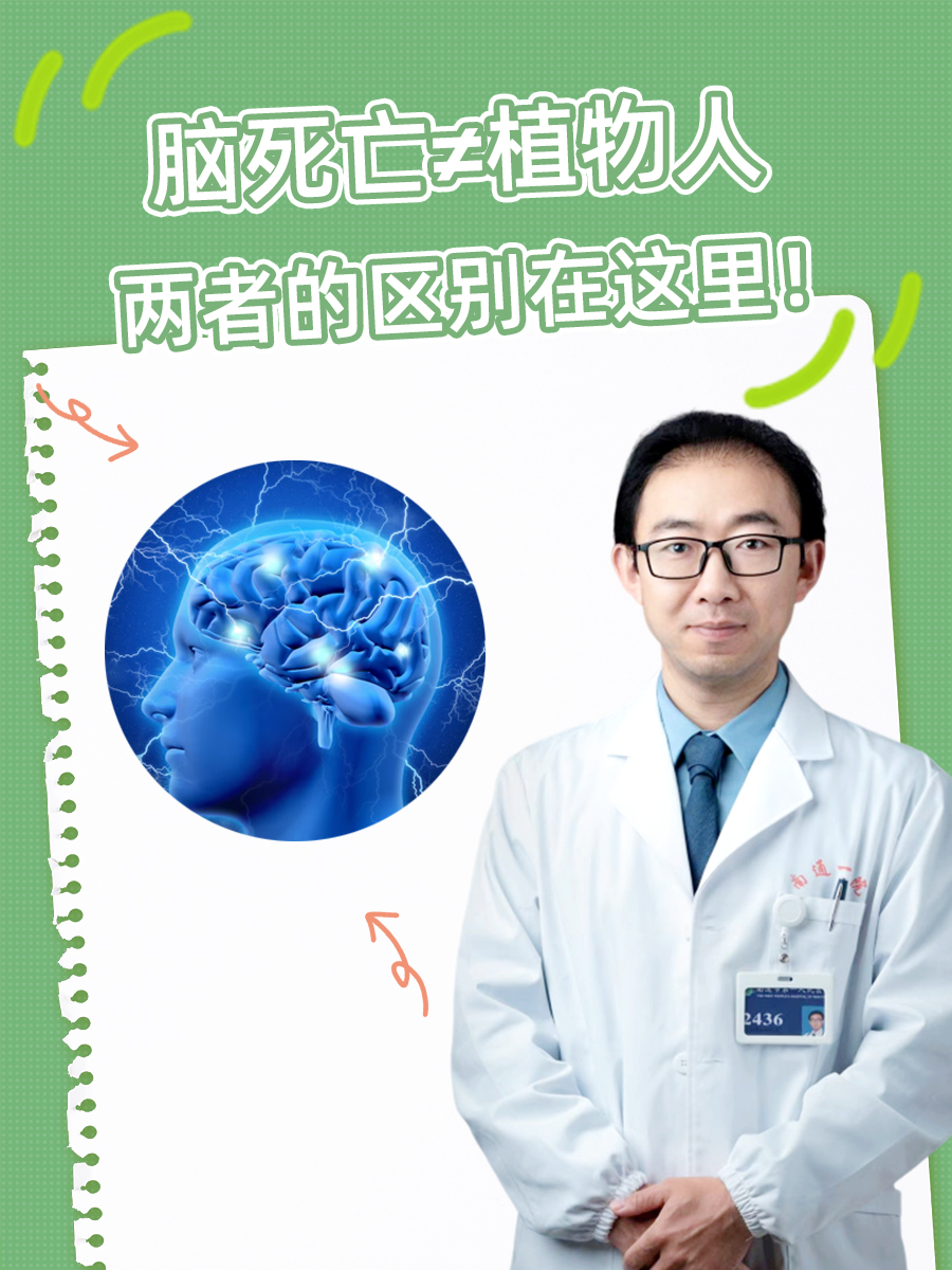 脑死亡≠植物人，两者的区别在这里！