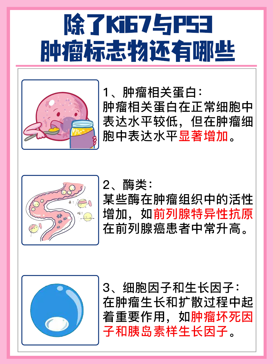 Ki67与P53:哪个指标更关键?