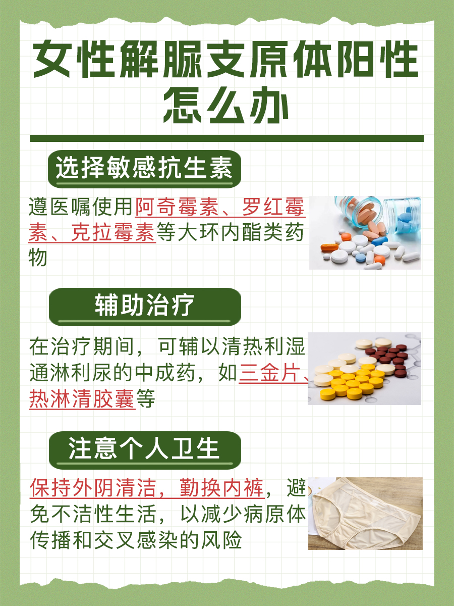 一文解析，女性解脲支原体阳性是什么意思