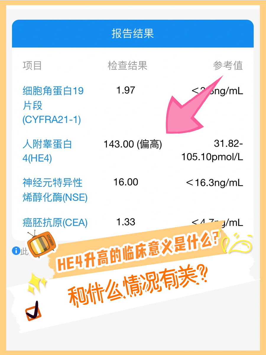 HE4升高的临床意义是什么?和什么情况有关?