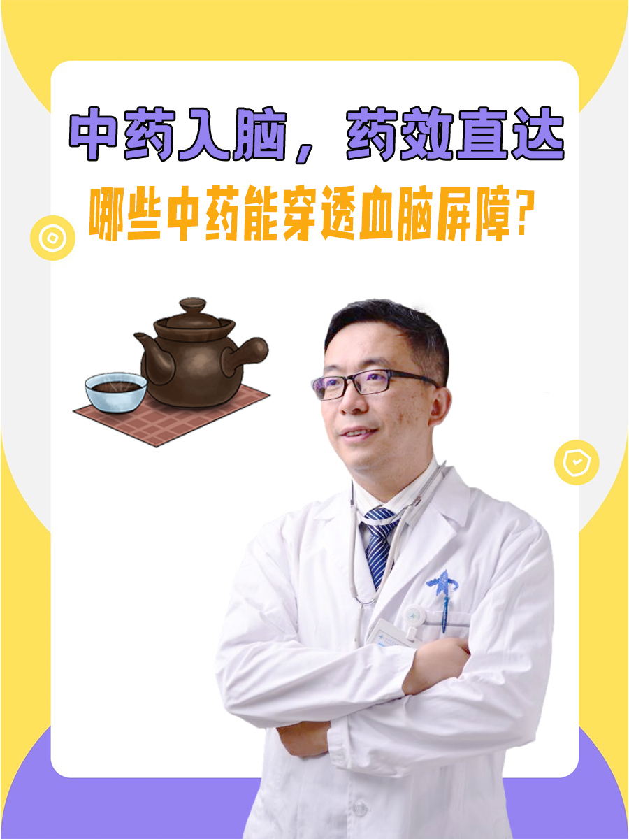 中药入脑，药效直达，哪些中药能穿透血脑屏障？