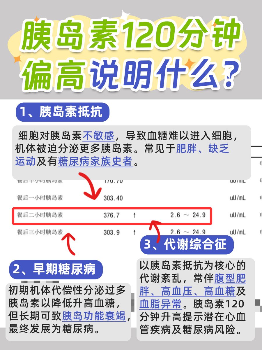 胰岛素120分钟偏高说明什么?看完就懂了!
