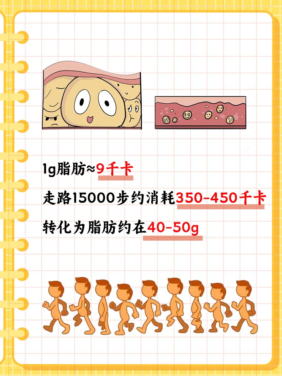 走破鞋底的15000步，你的脂肪君在颤抖吗？