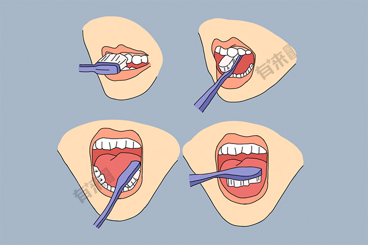 上下颤动刷牙法手绘图