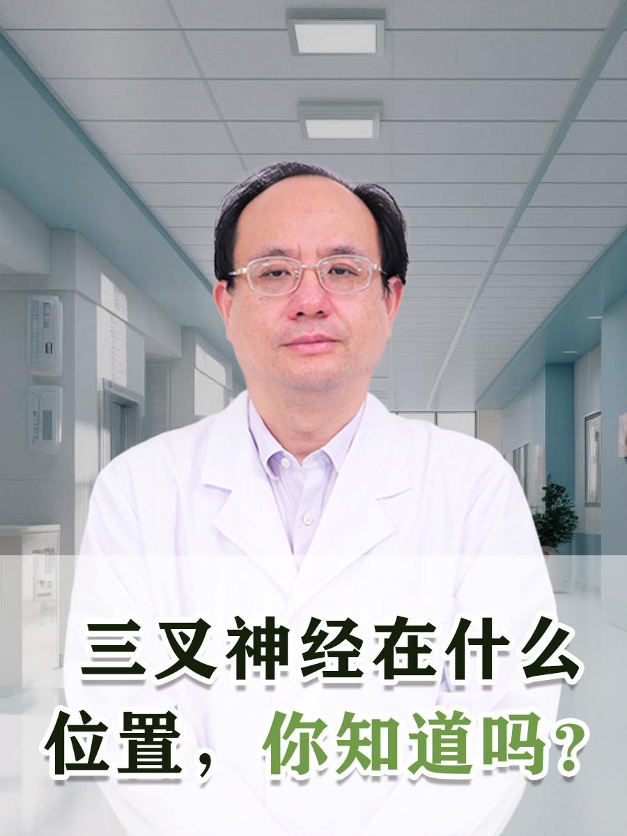 三叉神经在什么位置，你知道吗？