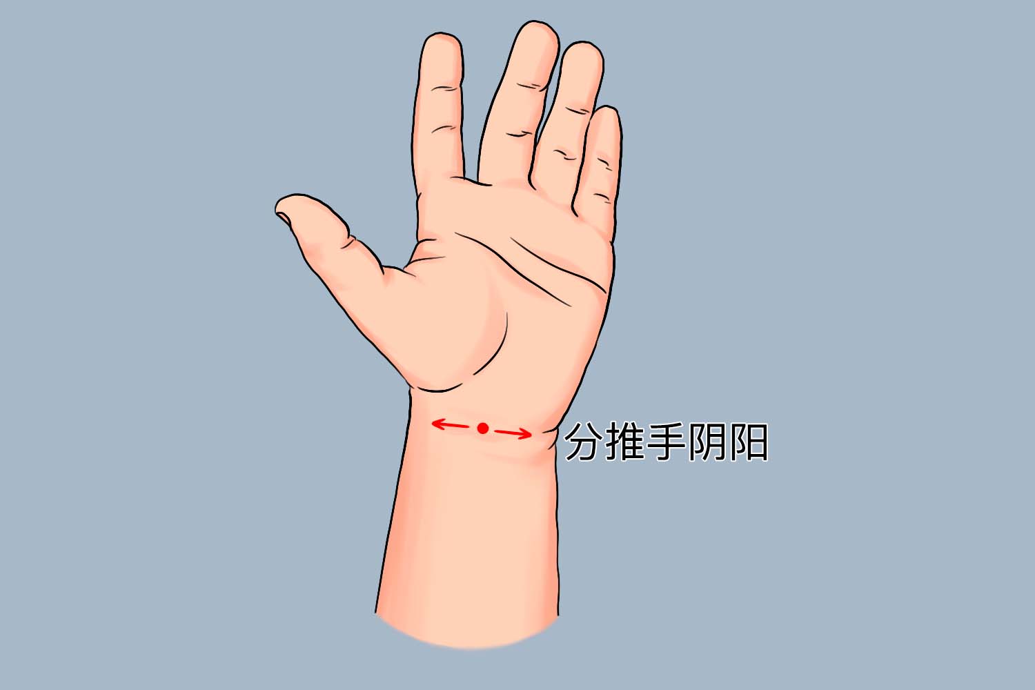 分推手阴阳推拿手法示意图