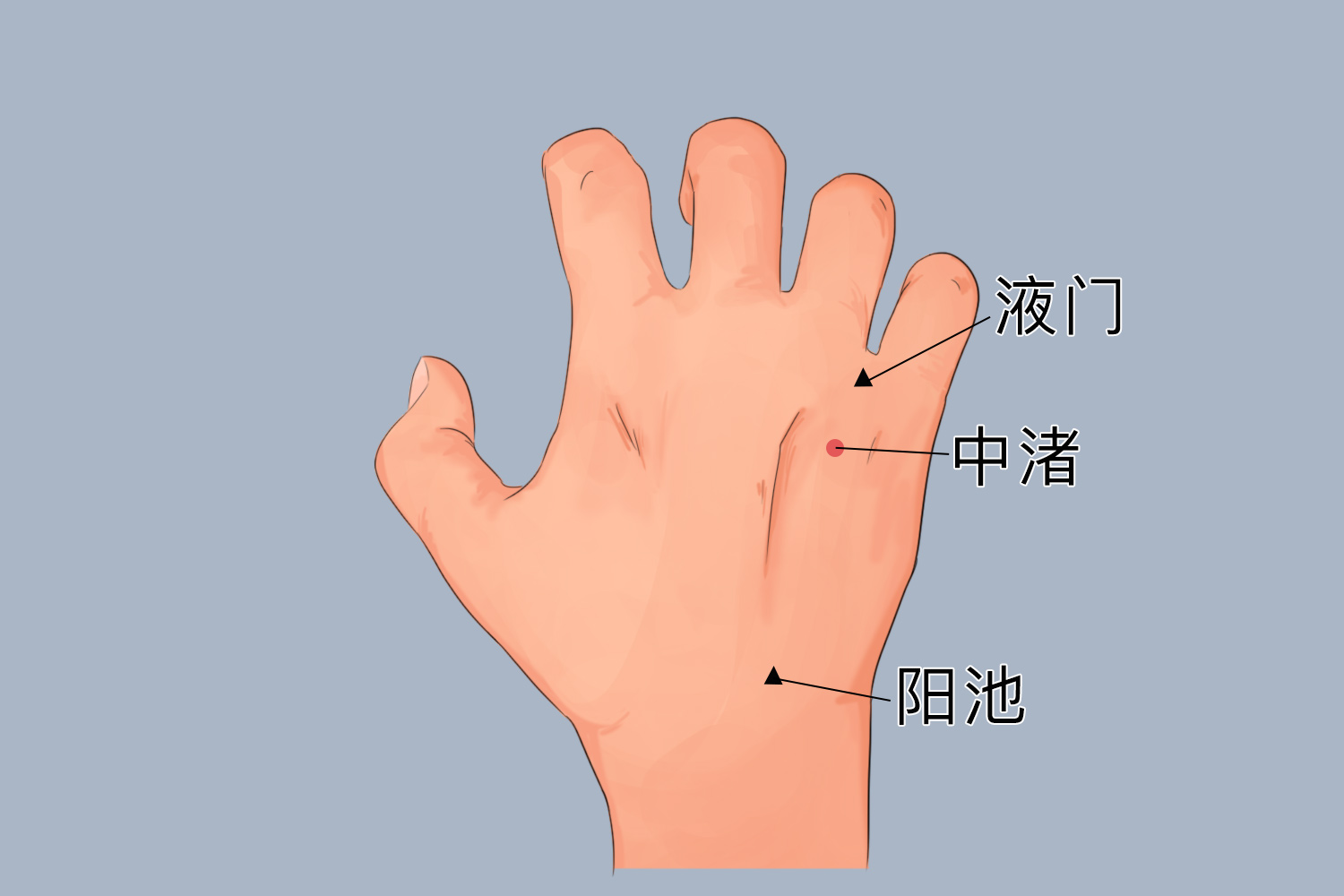 手臂酸痛艾灸位置图