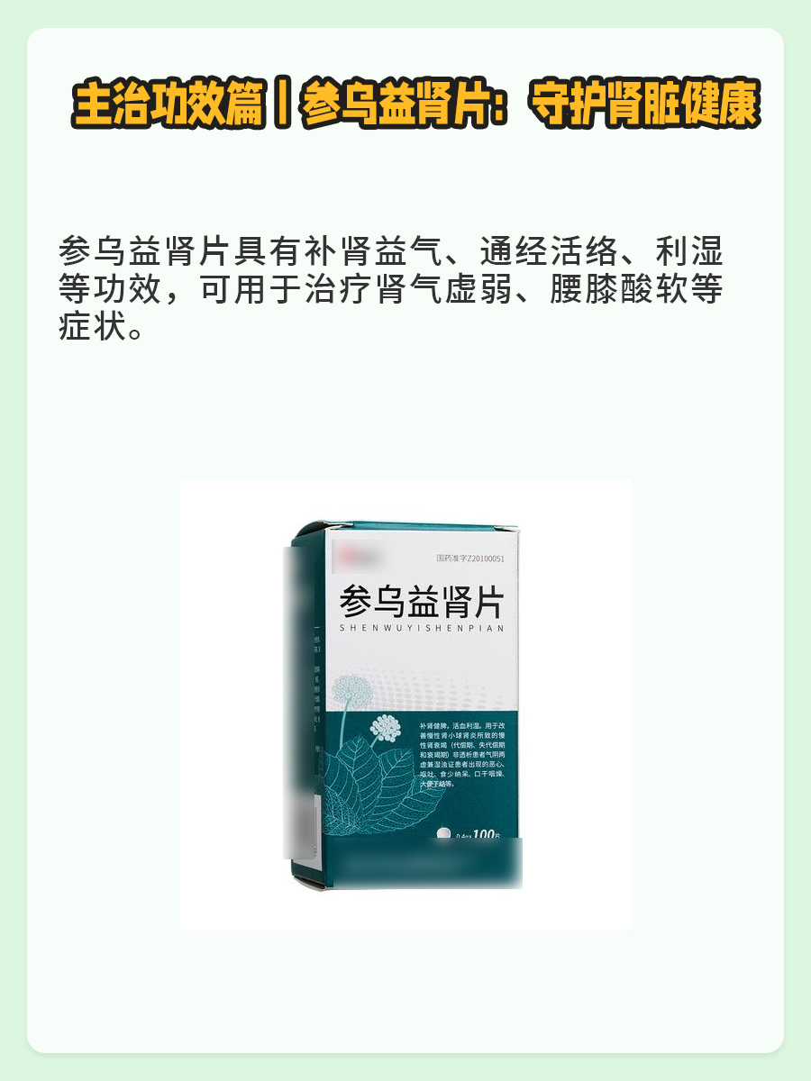 主治功效篇｜参乌益肾片：守护肾脏健康