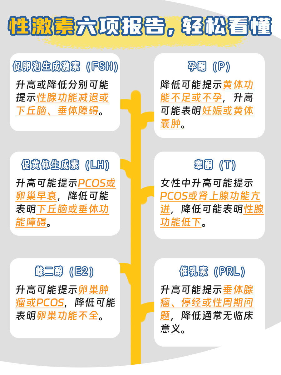 性激素六项报告，一看就懂