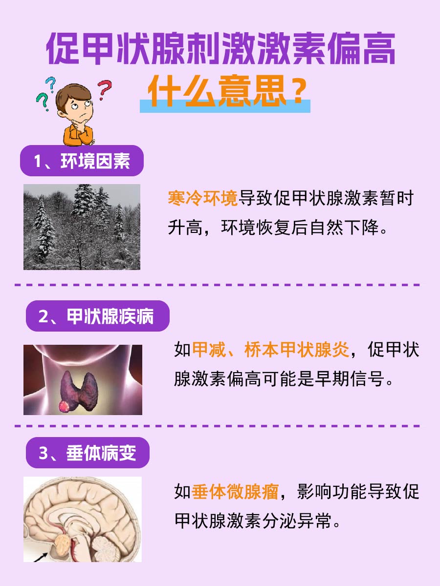 促甲状腺刺激激素偏高什么意思？这里有答案