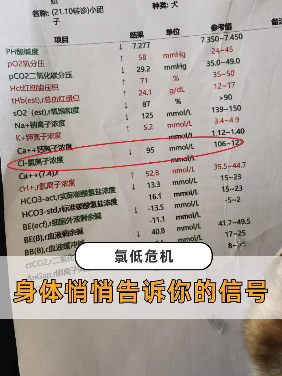 氯低危机:身体悄悄告诉你的信号