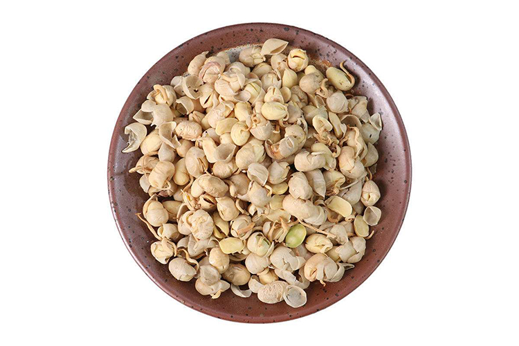 大豆黄卷中药图