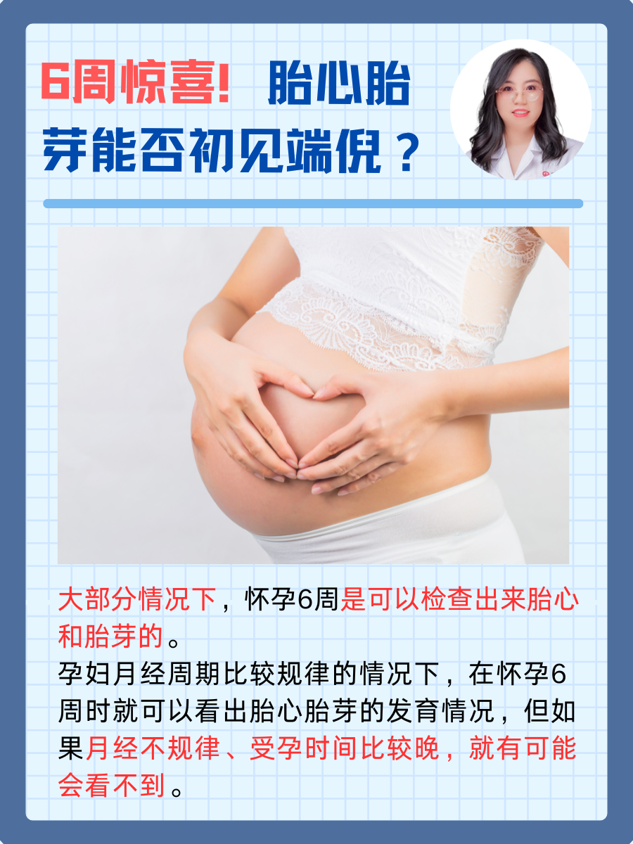 6周惊喜!胎心胎芽能否初见端倪?
