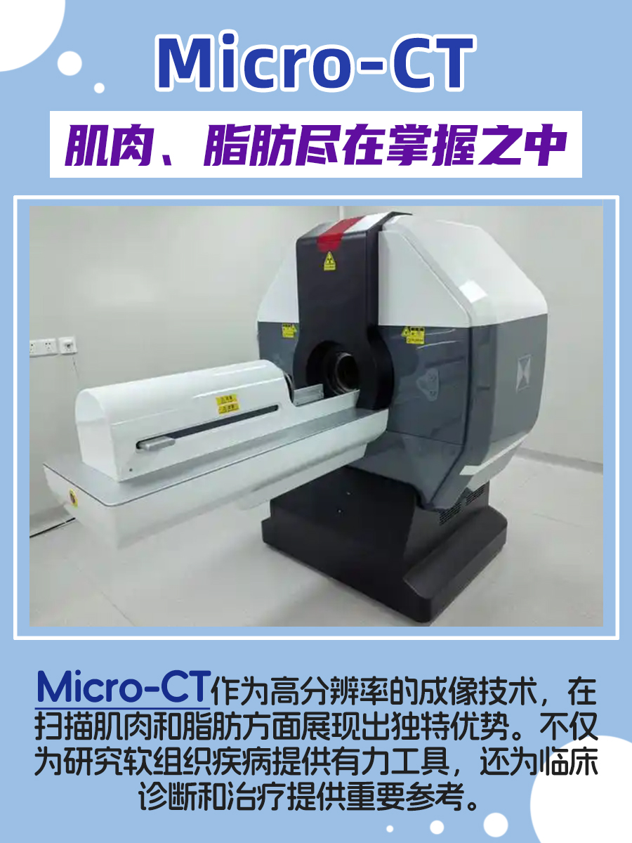 Micro-CT：肌肉、脂肪尽在掌握之中