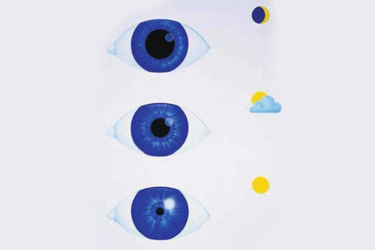 瞳孔大小随光线强弱变化示意图