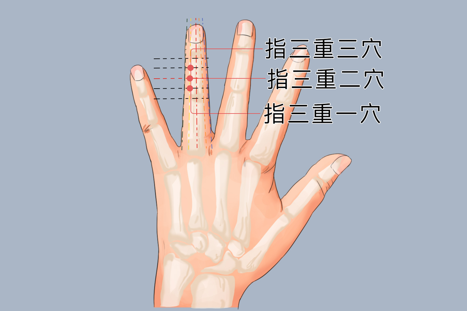 指三重位置图 指三重位置图