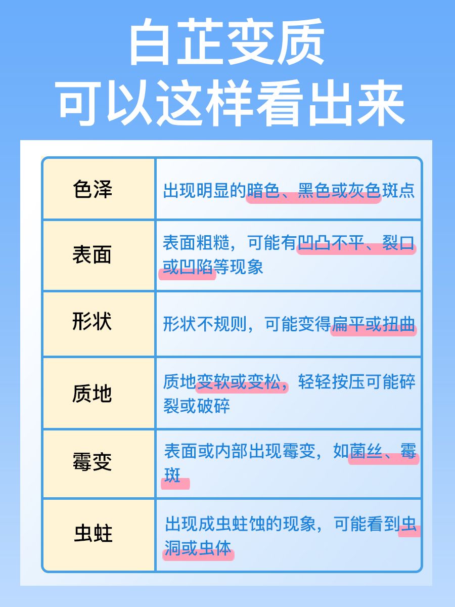 每日认识一味药：白芷究竟长啥样？