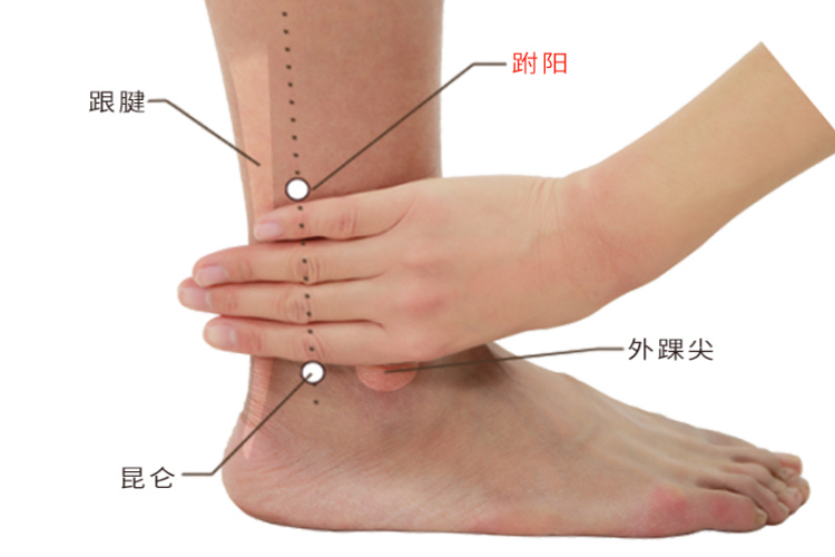 跗阳穴位置图 跗阳穴位置图