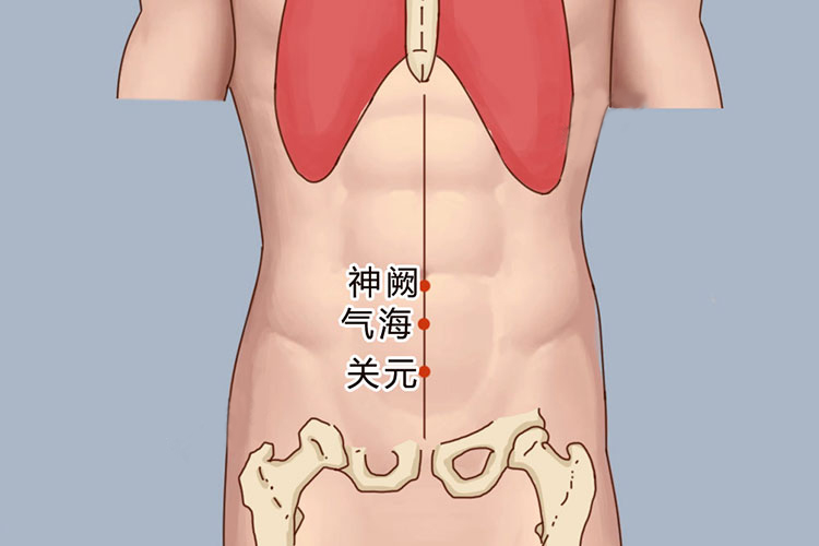腹部任脉的准确位置图图片