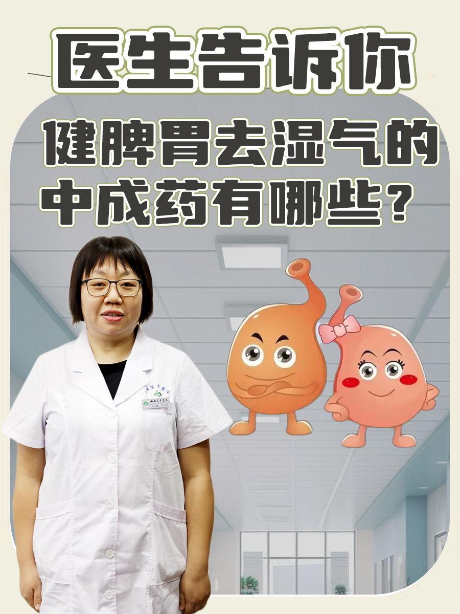 健脾胃去湿气的中成药有哪些?医生告诉你