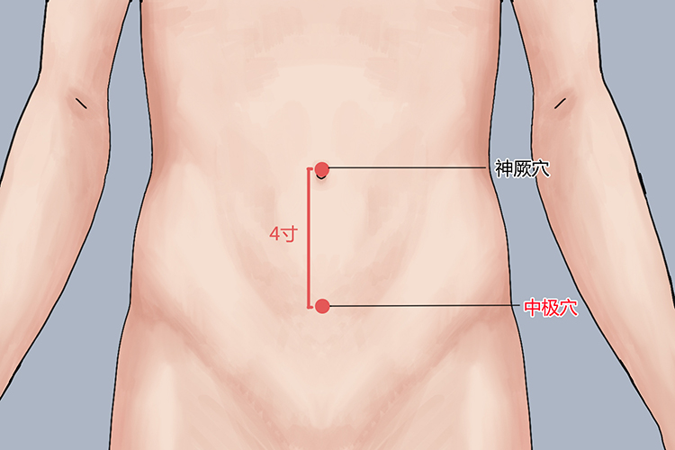 中极位置图 中极位置图