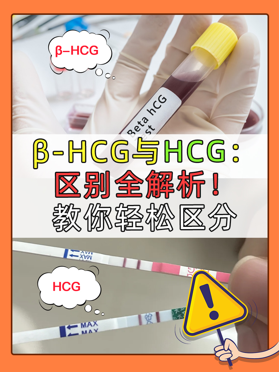 β-HCG与HCG：区别全解析！教你轻松区分