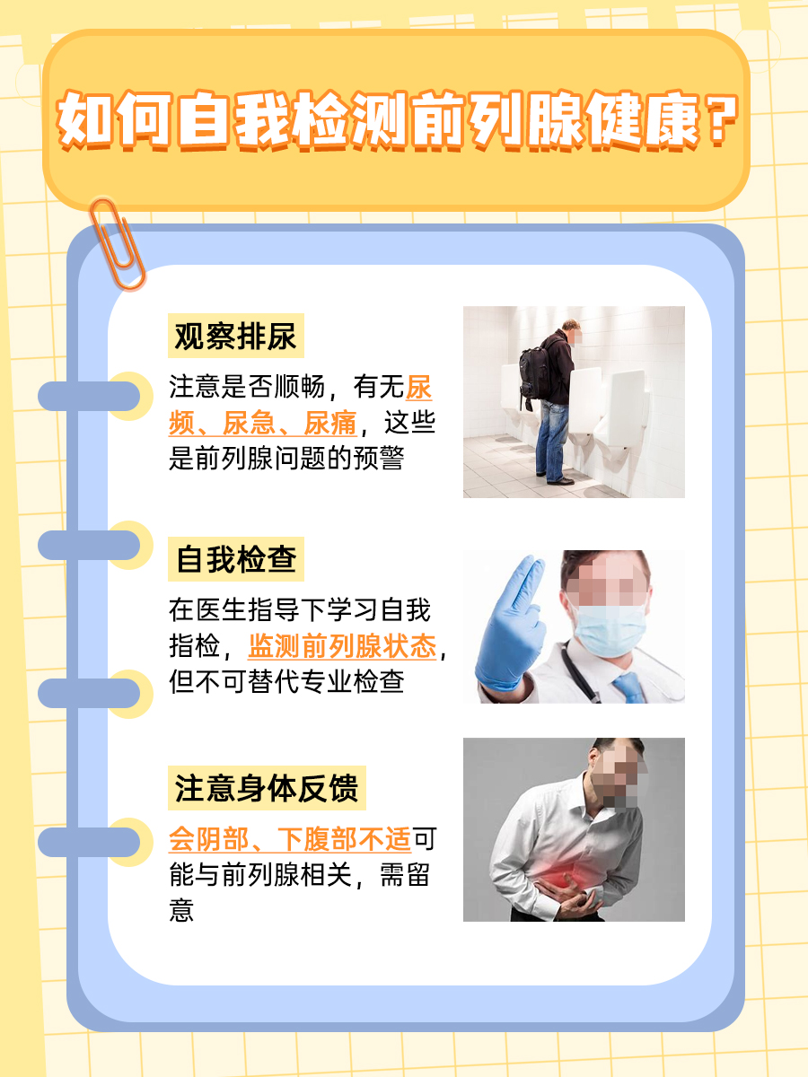 正常男人的前列腺有多长?你知道吗