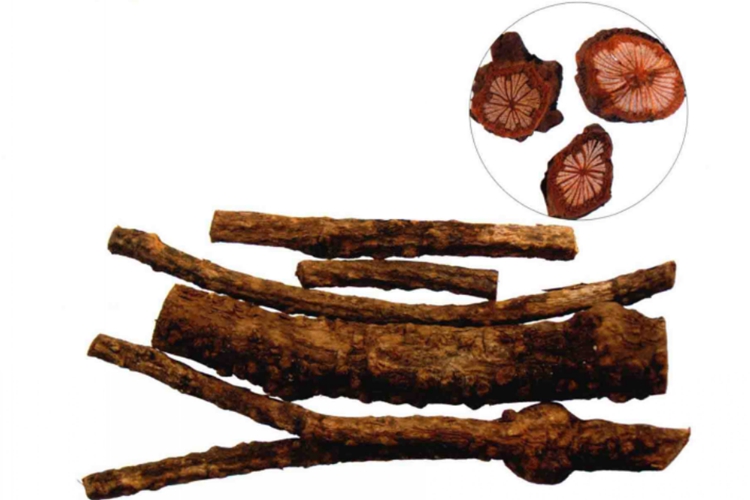 野生红藤药材图 野生红藤药材图