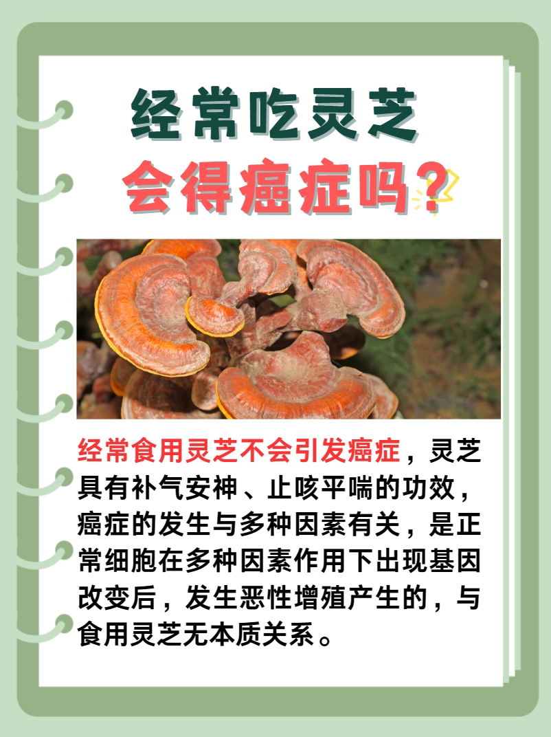 灵芝养生之谜：经常食用会得癌症吗？