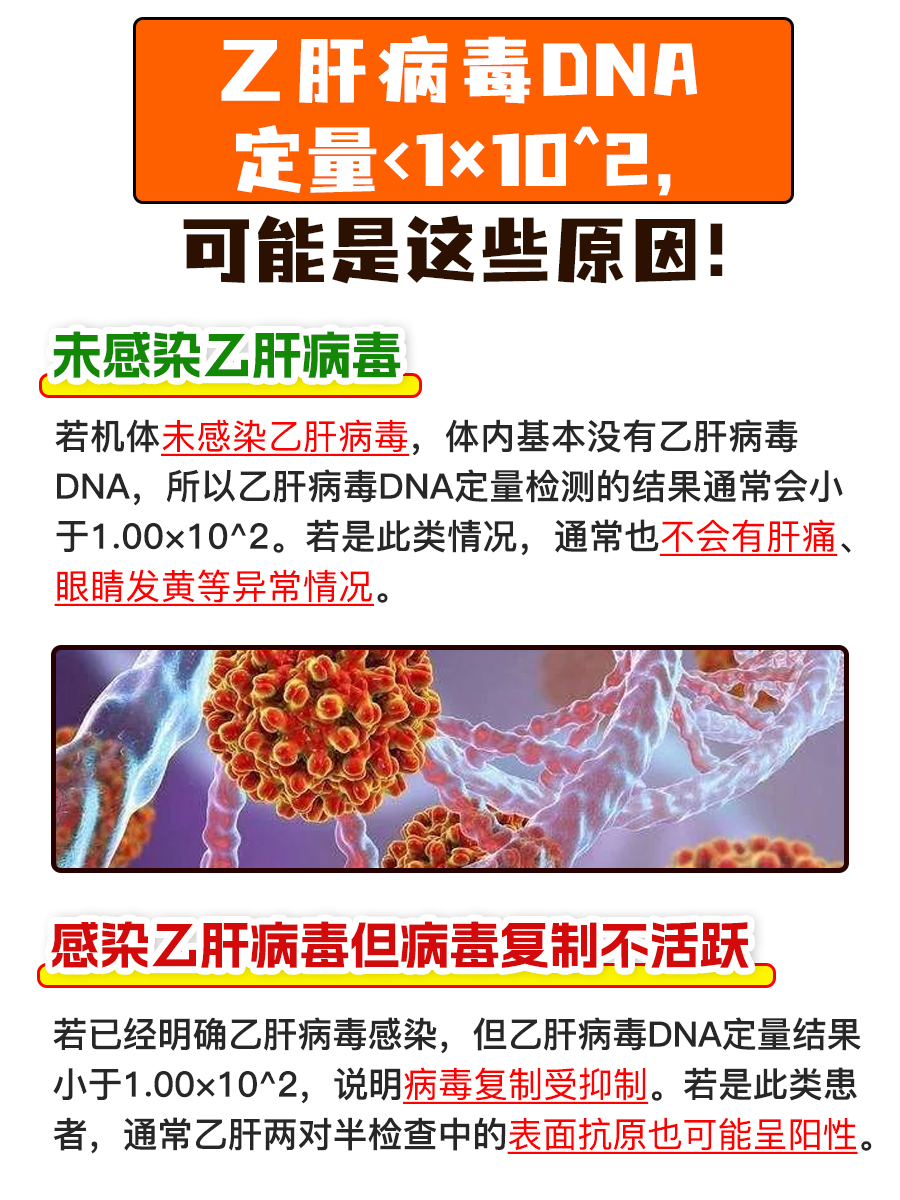 速戳！乙肝病毒DNA定量<1×10^2咋回事