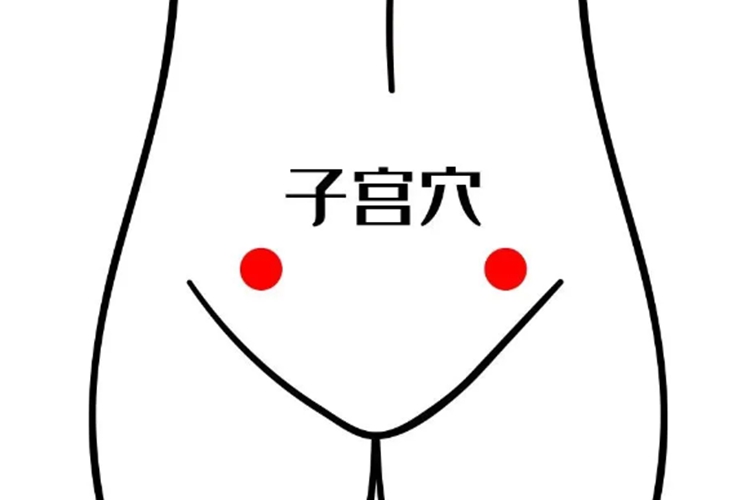 子宫穴位置图