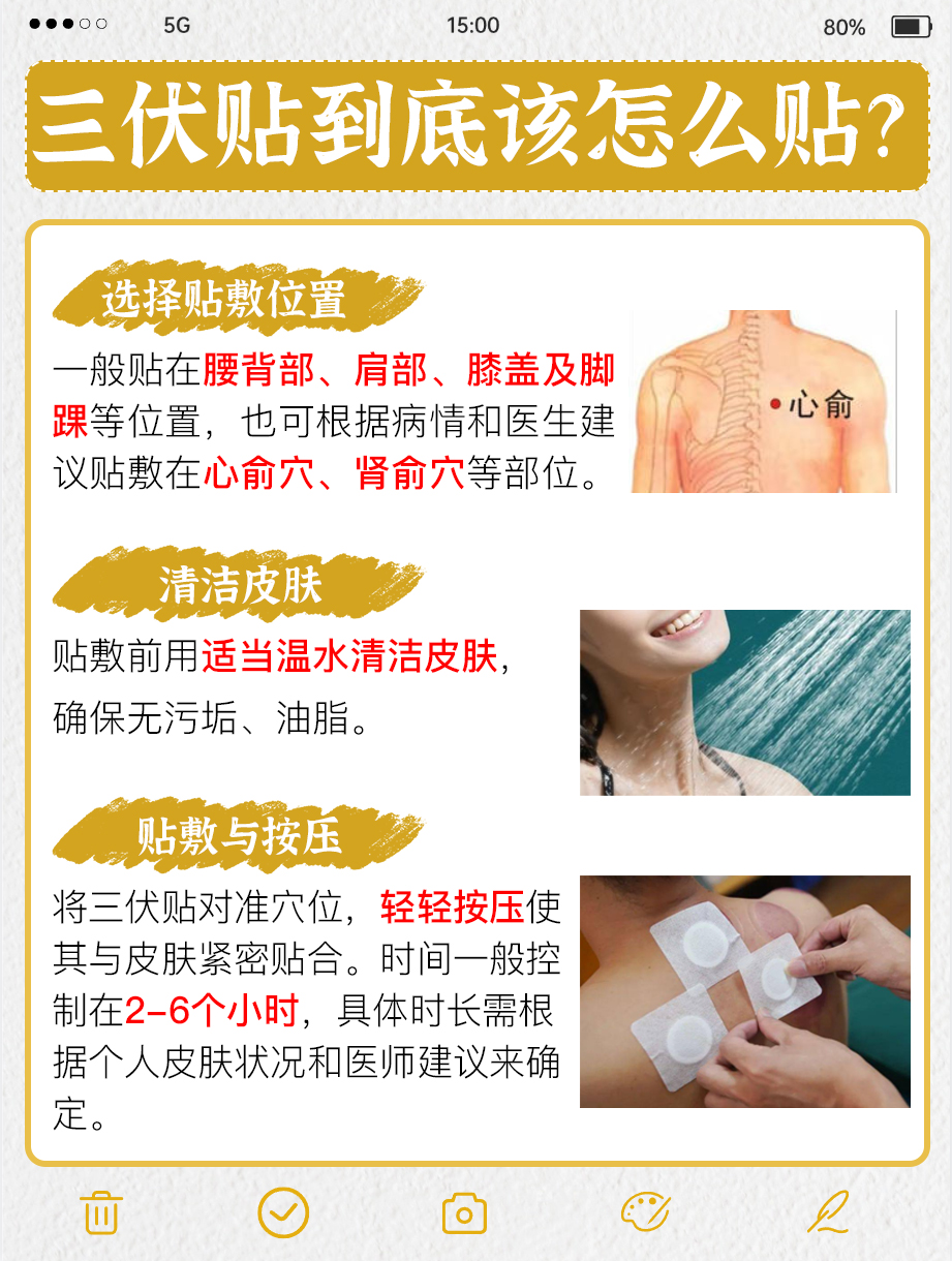 三伏贴全攻略:教你正确贴敷三伏贴