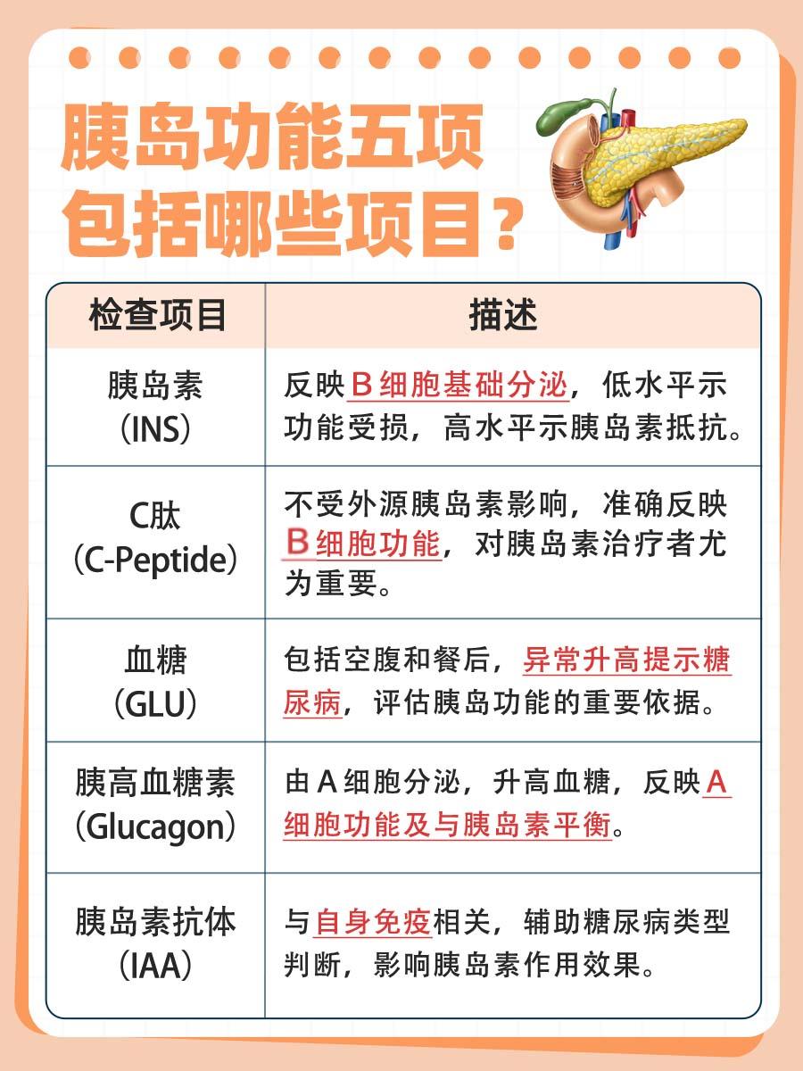 带你了解胰岛功能五项检查指标