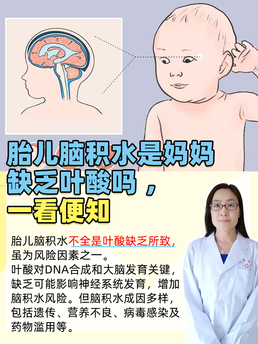 胎儿脑积水是妈妈缺乏叶酸吗 ，一看便知
