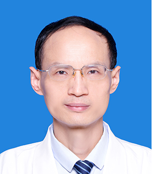 杜琦